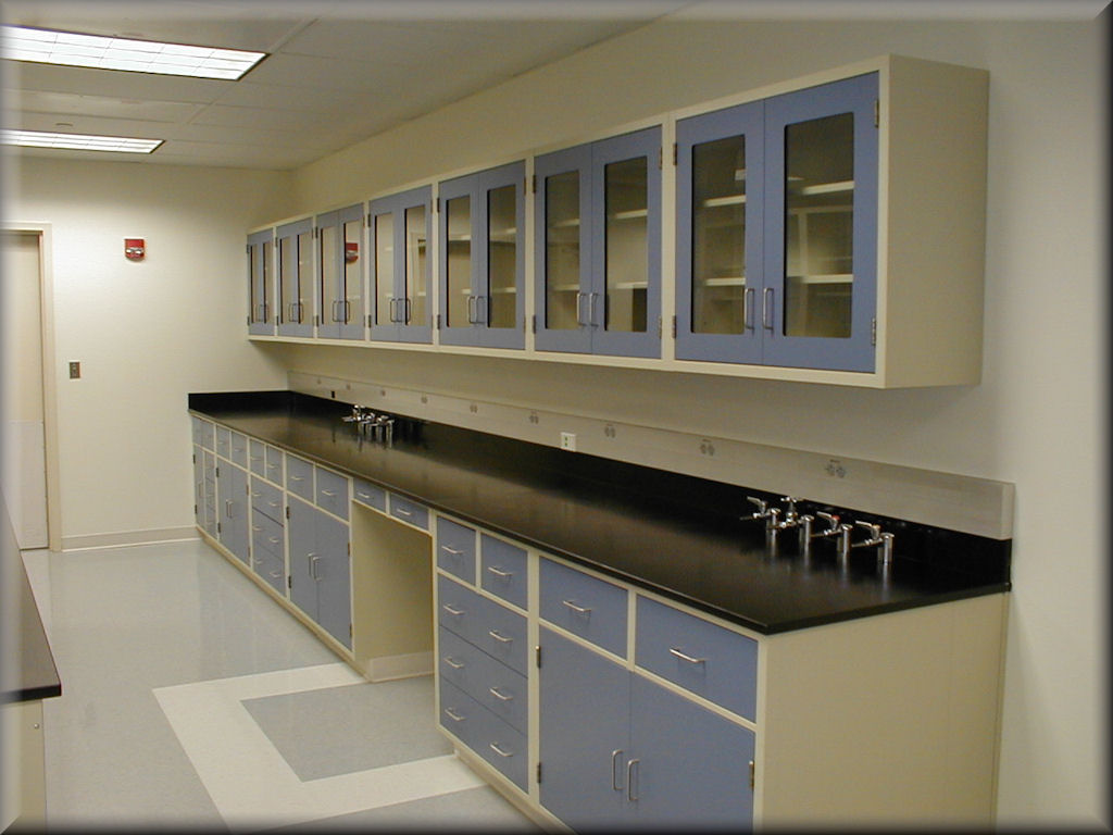 Standard Steel Laboratory Casework